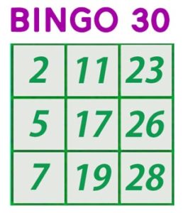 Cartelle Bingo La Guida Completa Ai Diversi Tipi Di Cartelle