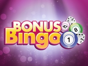 Usa bingo bonus codes