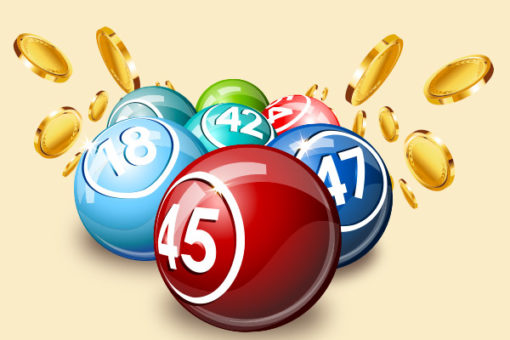 Video bingo Champion  Jogos de números, Jogos com numeros, Número